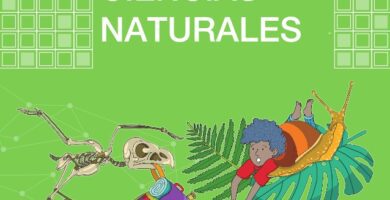 Libro de Ciencias Naturales de Sexto grado EGB