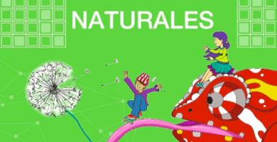 Cuaderno de trabajo de Ciencias Naturales de Quinto grado EGB