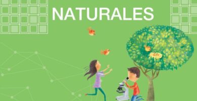 Libro de Ciencias Naturales de Octavo grado EGB